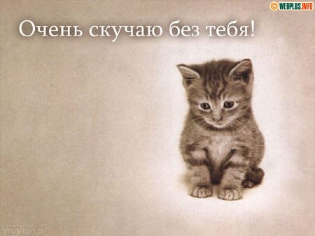 Крайней мере книга найти человека 