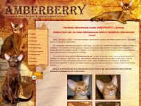 : Amberberry -   