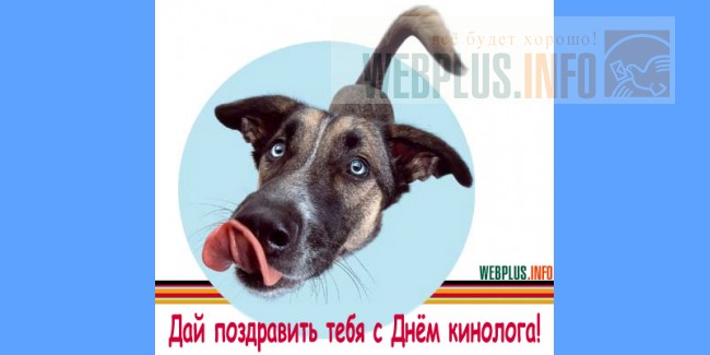 Поздравления кинолог Поздравления кинолог