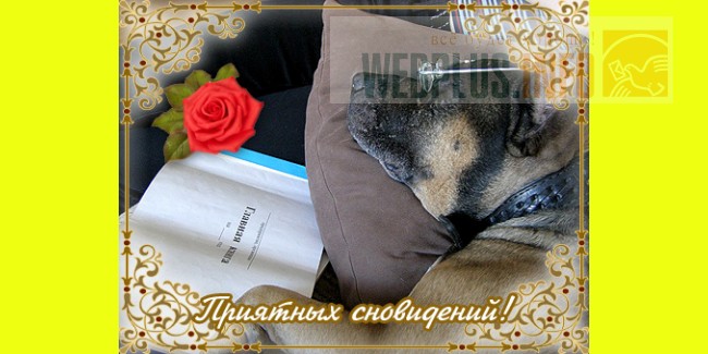 Открытка с приятными снами Открытка с приятными снами