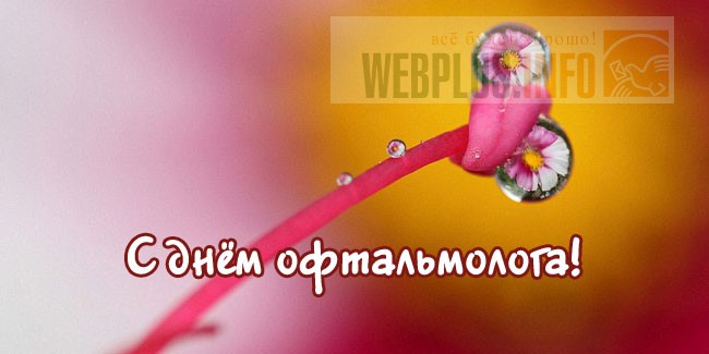 Открытки ко дню офтальмолога 166 Открытки ко дню офтальмолога 959