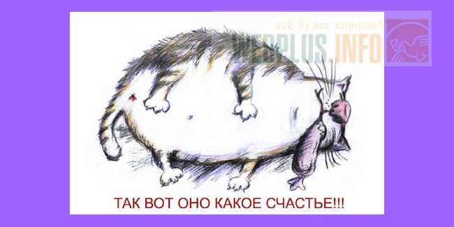 Открытка вот оно счастье Открытка вот оно счастье