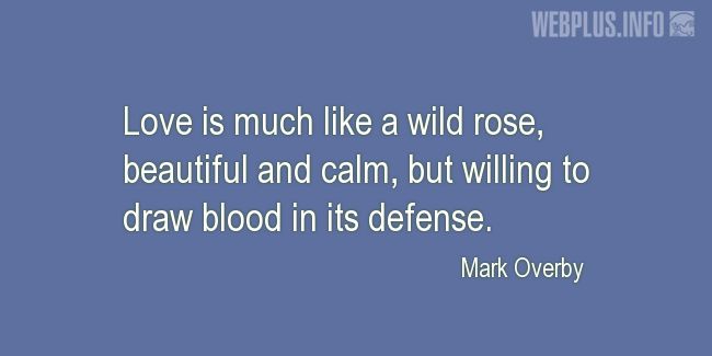 Quotes and pictures for Saint Valentines Day. «Like a wild rose» quotation with photo.