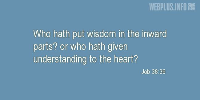 Quotes and pictures for Wisdom. «Who hath put wisdom in the inward parts» quotation with photo.