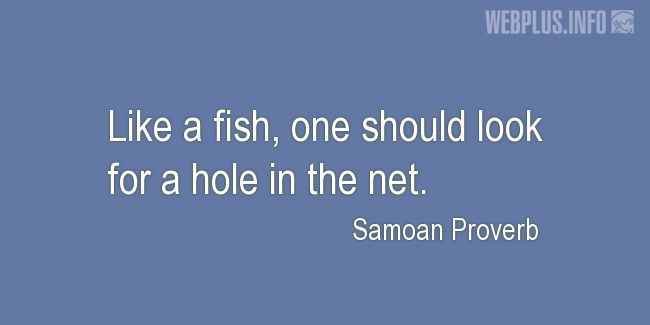 Quotes and pictures for Samoan Proverbs. «Look for a hole in the net» quotation with photo.