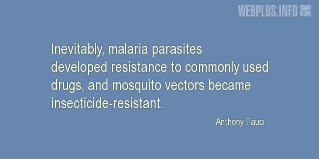 Quotes and pictures for Malaria. «Malaria parasites» quotation with photo.