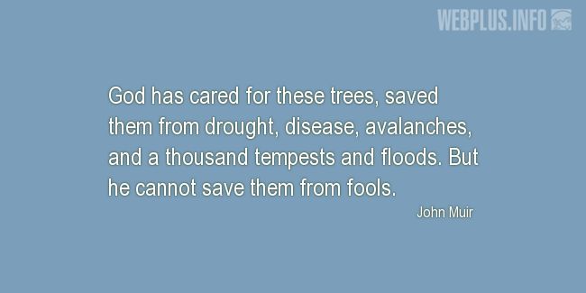 Quotes and pictures for John Muir Day. «God has cared for these trees» quotation with photo.