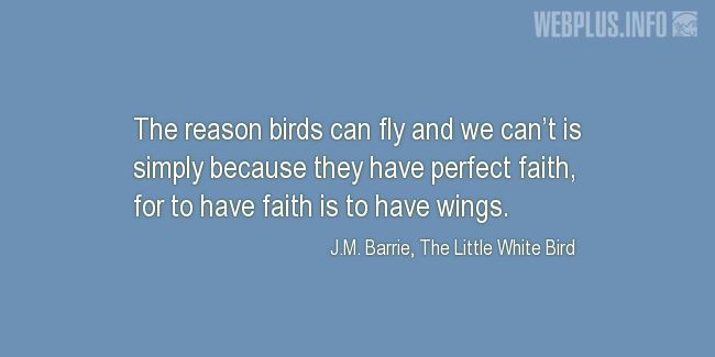 Quotes and pictures for Bird Day. «They have perfect faith» quotation with photo.