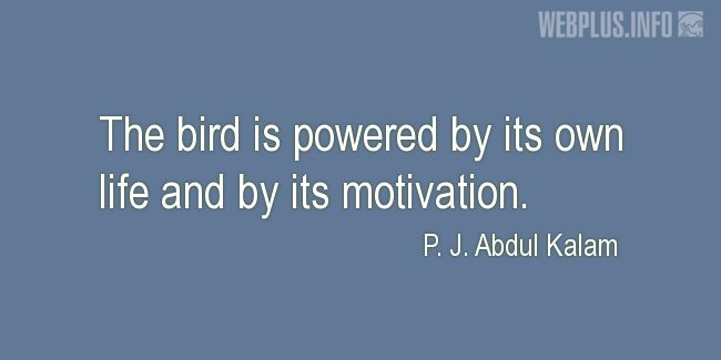 Quotes and pictures for Bird Day. «Powered by its own life» quotation with photo.