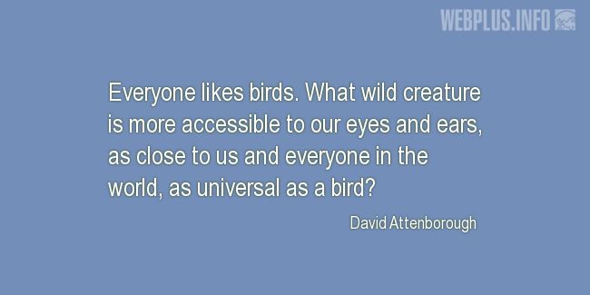 Quotes and pictures for Bird Day. «Everyone likes birds» quotation with photo.