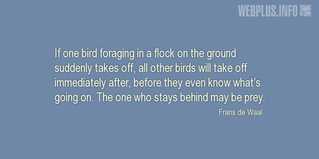 Quotes and pictures for Bird Day. «Before they even know whats going on» quotation with photo.