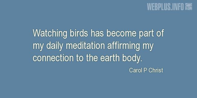 Quotes and pictures for Bird Day. «Part of my daily meditation» quotation with photo.