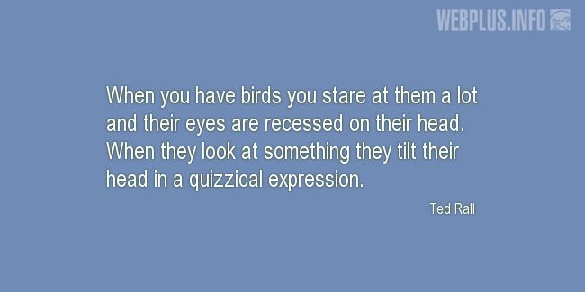 Quotes and pictures for Bird Day. «Quizzical expression» quotation with photo.