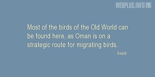 Quotes and pictures for Migrating birds. «A strategic route» quotation with photo.