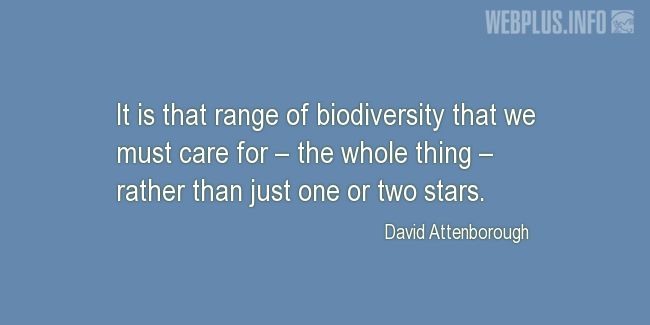 Quotes and pictures for Biological Diversity  (biodiversity). «We must care» quotation with photo.