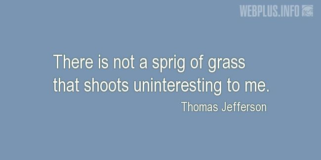 Quotes and pictures for Grass. «There is not a sprig of grass» quotation with photo.