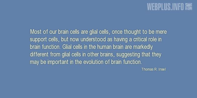 Quotes and pictures for Brains. «Glial cells» quotation with photo.