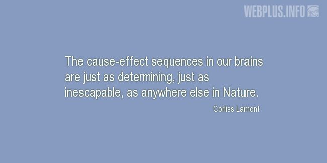 Quotes and pictures for Brains. «The cause-effect sequences in our brains» quotation with photo.