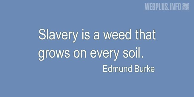 Quotes and pictures for Human trafficking. «A weed» quotation with photo.