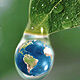 http://webplus.info/images/wpi.cards/p_1111_13p.jpg