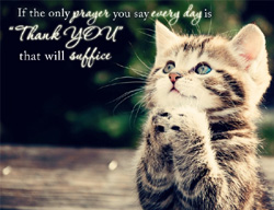 eCard - The only prayer Thank you