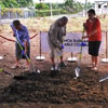 Arbor Day in Samoa