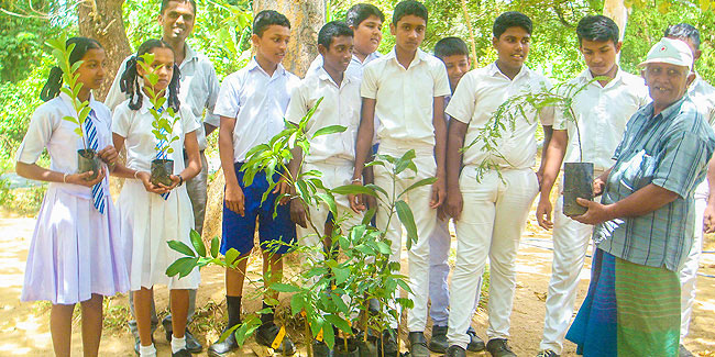15 November - National Tree Planting Day in Sri Lanka