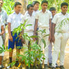 National Tree Planting Day in Sri Lanka