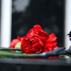 Martyrs' Day in Azerbaijan