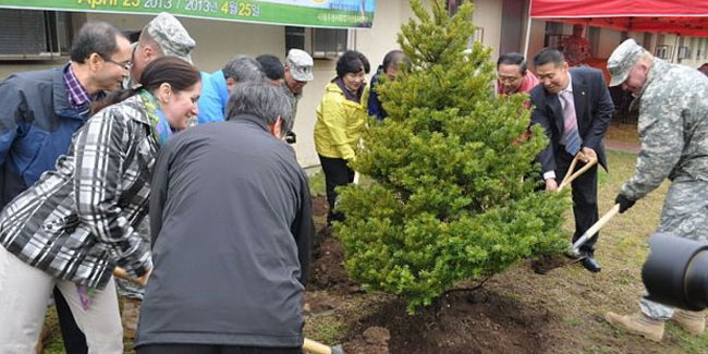 5 April - Gardening Festival or Tree Planting Day in South Korea 5 April - Gardening Festival or Tree Planting Day in South Korea