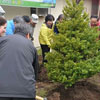 Gardening Festival or Tree Planting Day in South Korea