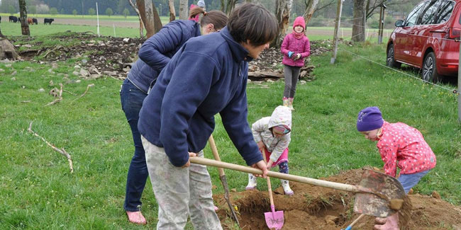 25 April - Arbor Day in Germany 25 April - Arbor Day in Germany
