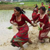 National Paddy Day in Nepal