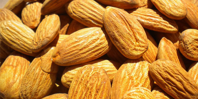 16 February - National Almond Day in USA 16 February - National Almond Day in USA
