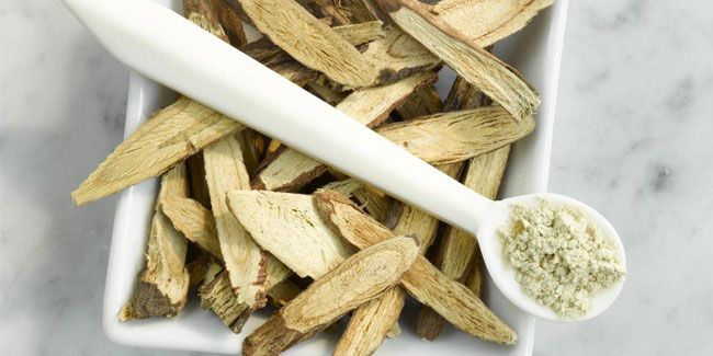 12 April - National Licorice Day and National Grilled Cheese Sandwich Day in USA 12 April - National Licorice Day and National Grilled Cheese Sandwich Day in USA