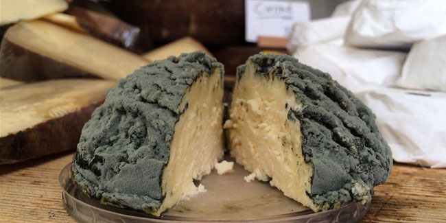 9 October - National Moldy-Cheese Day and National Pizza and Beer Day in USA 9 October - National Moldy-Cheese Day and National Pizza and Beer Day in USA