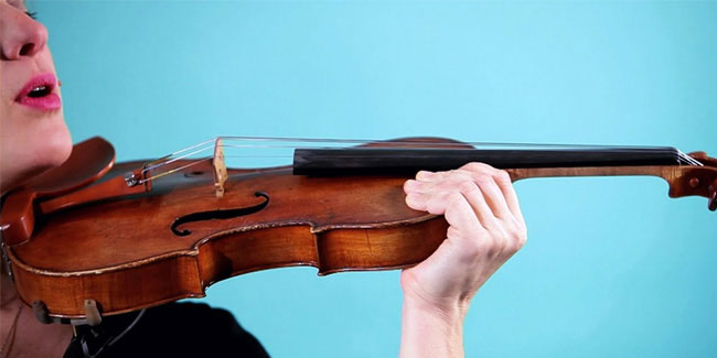 13 December - Violin Day 13 December - Violin Day