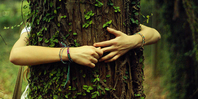 16 May - Love a Tree Day 16 May - Love a Tree Day