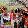 Peach Blossom Day and Peach Blossom Festival in Japan