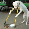 Международная неделя Pooper Scooper Международная неделя Pooper Scooper