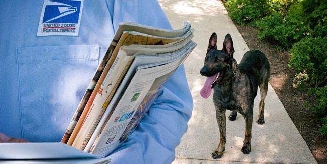 8 April - National Dog Bite Prevention Week in US 8 April - National Dog Bite Prevention Week in US