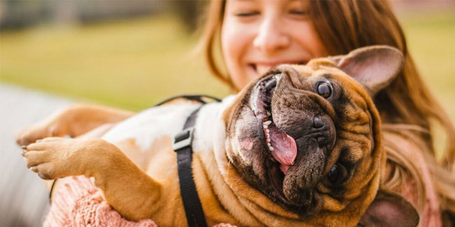 19 April - Pet Owners Day 19 April - Pet Owners Day