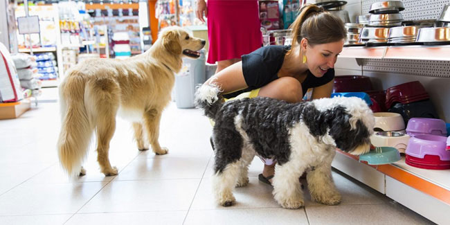 29 April - National Pet Parent's Day in US 29 April - National Pet Parent's Day in US
