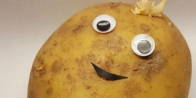 19 August - Potato Day