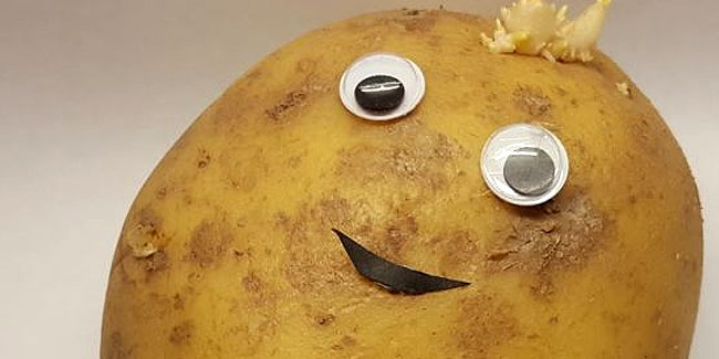 19 August - Potato Day 19 August - Potato Day