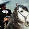 National Day of the Mexican Rider National Day of the Mexican Rider