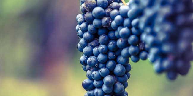 20 June - Lambrusco Day 20 June - Lambrusco Day