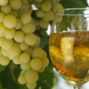 National White Wine Day in US