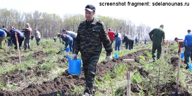 14 May - All-Russian Forest Planting Day
