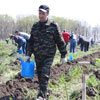 All-Russian Forest Planting Day